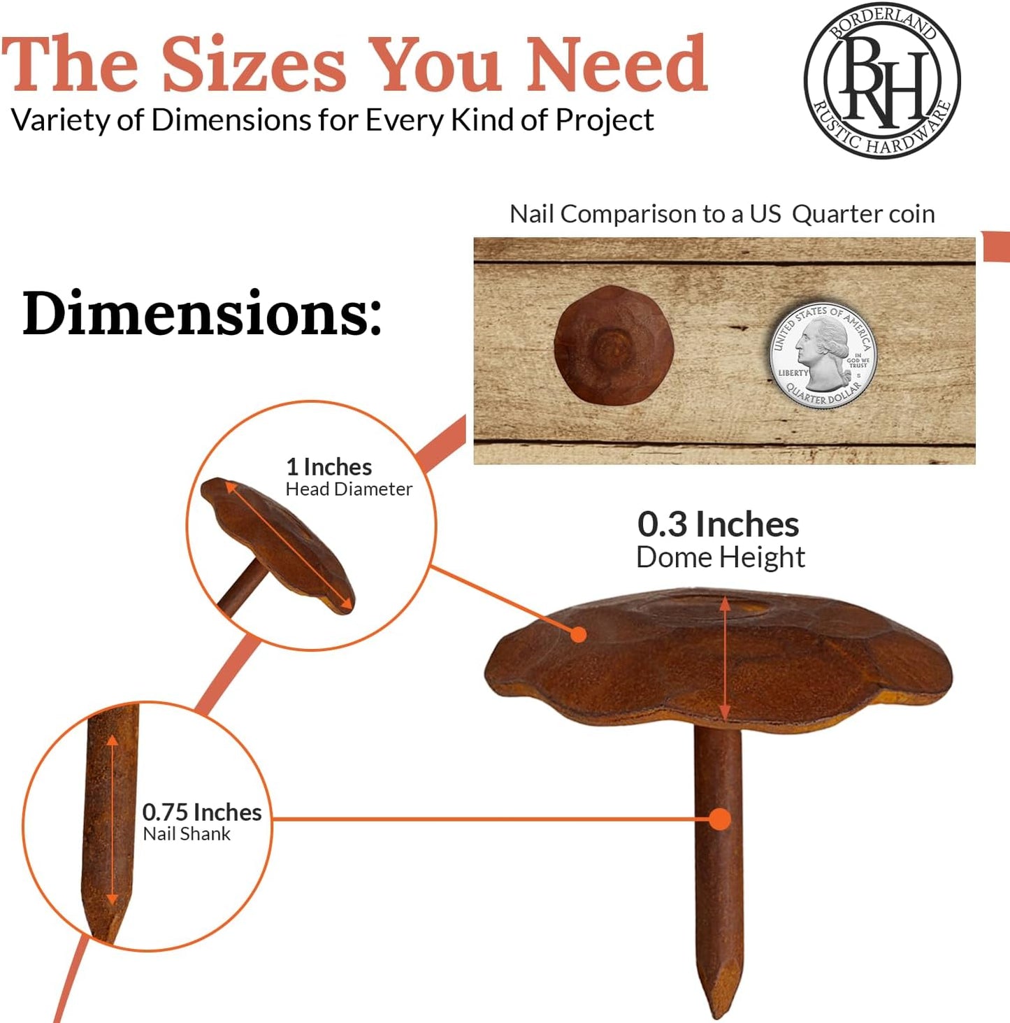 10 Pack 1" Small Round Head Iron Clavos Decorative Nails – Rusted – Handmade Rustic Round Fasteners for Farmhouse Shutter, Faux Wood Beams, Barn Door, Shutters, and Gates – Ornamental Wood Accent