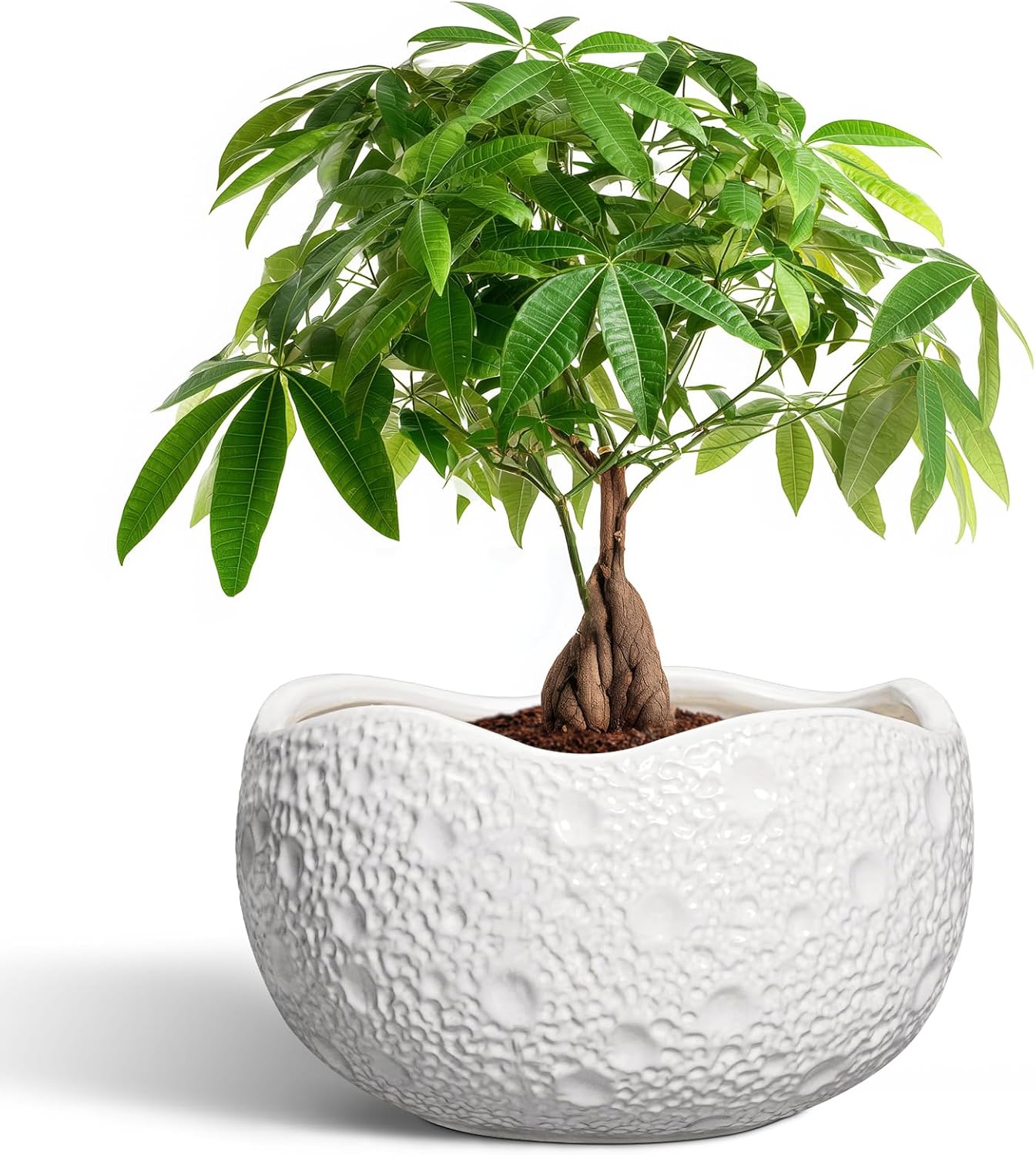 10 Inch Plant Pot - Ceramic Planter for Indoor Outdoor, Round Bonsai Pots, Decorative Flower Pots with Drainage Hole, Modern Unique Planters, House Decor, Home Gifts, White